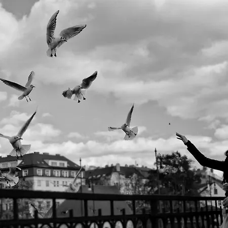 Vltava Apartman Prága